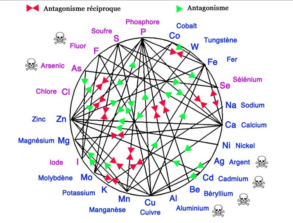 Minerale schema