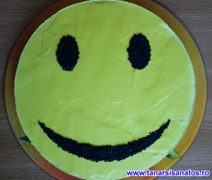 Tort Smiley TSS