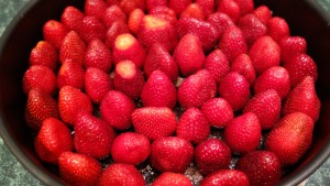 Raw desserts 054
