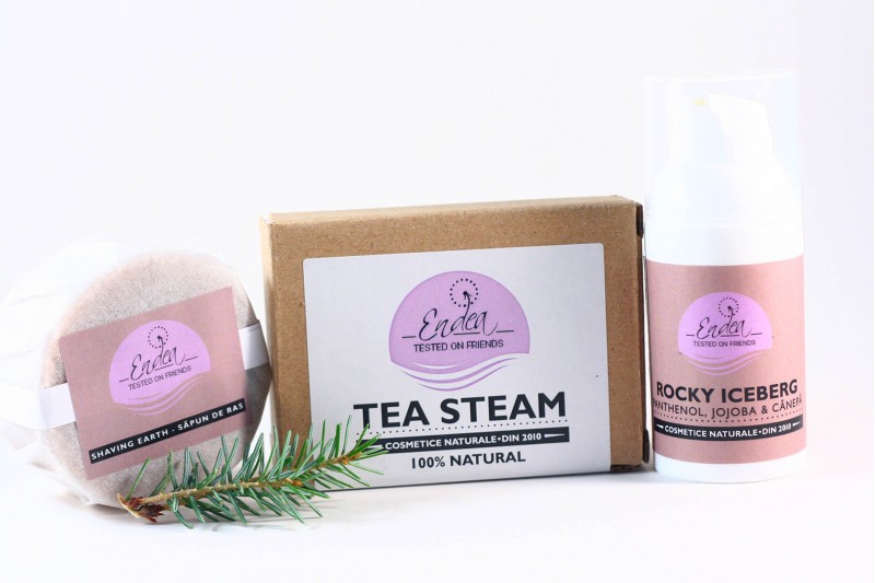 Set cosmetice sanatoase si ecologice pentru barbati Endea 