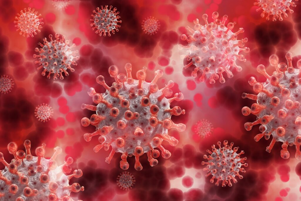 covid-19 virus picture 